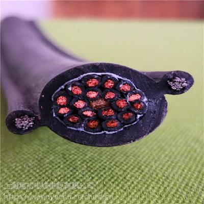 ECHU CABLE/׳ӦNBRRVV1G/ RVV2G «