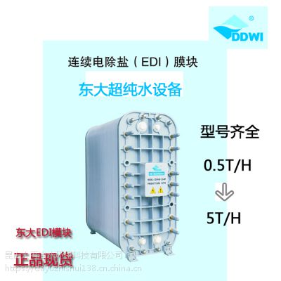 东大EDI模块 高纯水设备专用EDI模块0.5T/H--5T/T 现货