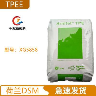 TPEEDSM XG5858 ˹ ע ȼ