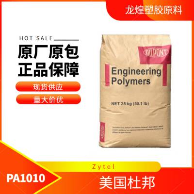 PA1010美国杜邦RS 11G30L NC010 30%玻纤增强挤出成型尼龙1010
