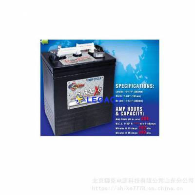 美国US蓄电池US 125 XC2进口6V242AH升降车观光车