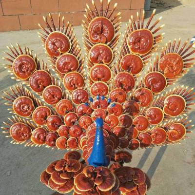 工艺品灵芝盆景制作厂家 盆栽批发 观赏用赤芝 灵芝种植技术 盆景摆件