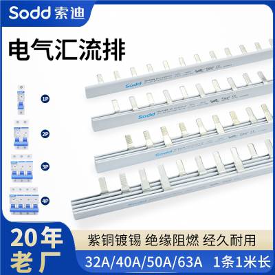 63A1234Pտ·32A-100Aͭ߶