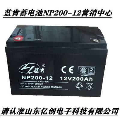 蓝肯蓄电池NP200-12 12V200AH铅酸储能型产品 营销中心