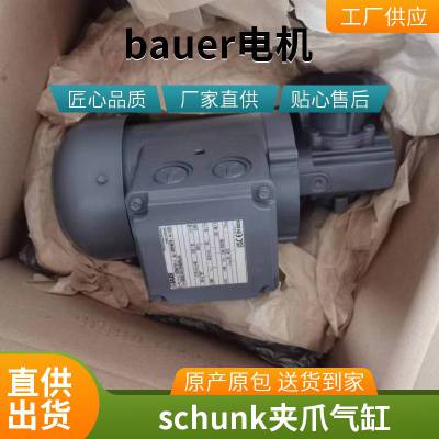 德国SCHUNK缓冲器0314164 LMST 25-KT欧洲进口工控备件搬运工