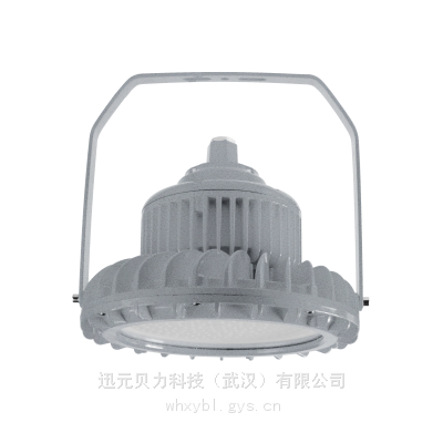 RLB152-50W隔爆型免维护防爆壁灯-贝力照明