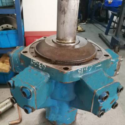 ¹Dusterlohά޶˹RM900X
