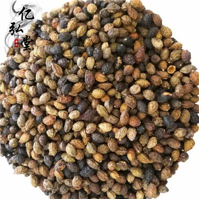 中药材鸦胆子的药用价值鸦胆子用法用量鸦胆子价格多少