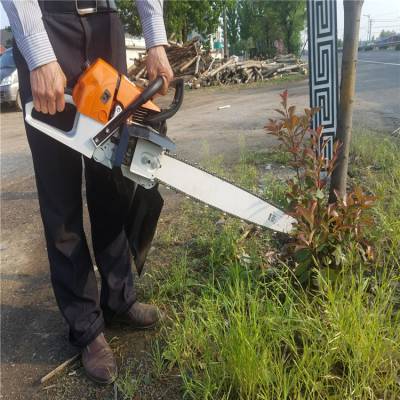 移栽树苗起苗机 铲头式挖树机 多功能移栽断根机型号