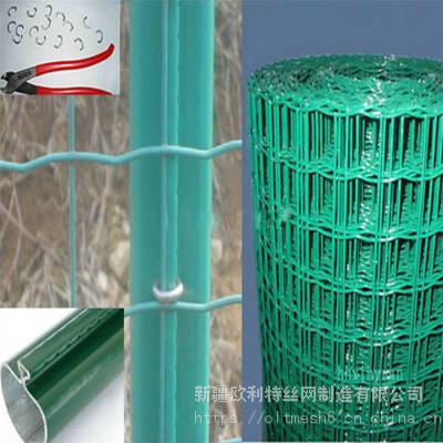 新疆厂家销售绿色包塑铁丝荷兰网 绿色隔离栅栏 有现货