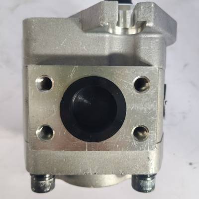 CPCD45R泵Һѹ 4.5ֳͱCBQ-F550-AFHL
