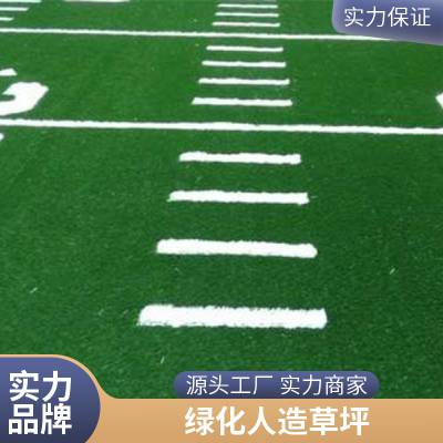 铜川人造草坪施工报价人造彩色草坪 幼儿园彩虹跑道仿真植物草
