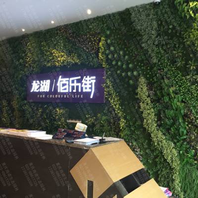 重庆仿真植物墙 重庆假植物墙 成都仿真植物墙 四川贵州湖北仿真植物墙 立体绿化植物墙