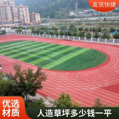 景观休闲人工草坪 羽毛球场幼儿园 EPDM塑胶跑道颜色可选