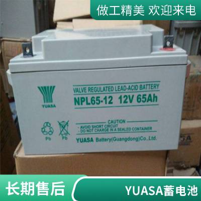 YUASA汤浅蓄电池 NPL24-12 免维护电池12V24AH 直流屏 UPS电源用