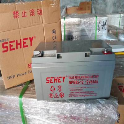 SEHEY西力蓄电池NPG250-12 阀控式12V250AH大容量胶体系列