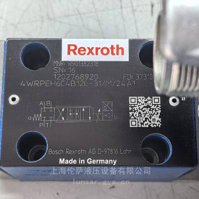 R901507310 4WRPEH10C3B100L-3X/M/24F1 力士乐Rexroth液压阀有货