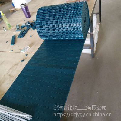 塑料模块链板网带平板输送线聚甲醛1000型工程塑料板链包装线输送