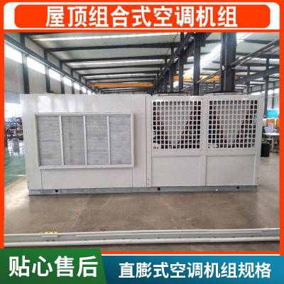 直膨式空调机组 厂房空气处理 节能环保外形美观 直膨式空调机组