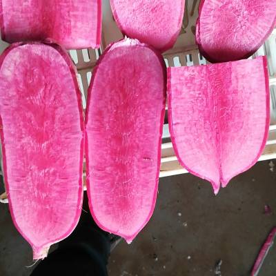 Ƥ ˮܲ-ڹӦ - ൺũׯ޹˾