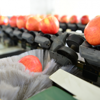 产品标签|苹果分级机苹果分级设备苹果分拣机价    格订货量面议不限