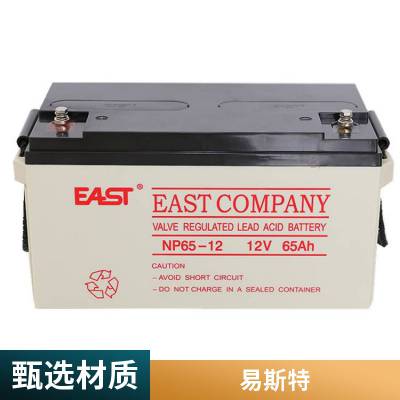 EASTNP100-12Ǧ12V100AH ҽ豸 ̫ܷ ֱ