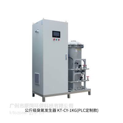 供应污水空间消杀专用-公斤级臭氧发生器 KT-CY-1KG（PLC定制款）