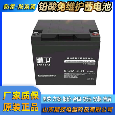 ƻ6-GFM-38-YT12V38AHܷʽάUPSԴǦػհװ