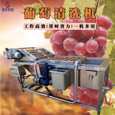 蓝天 葡萄清洗机 葡萄气泡清洗机 全自动
