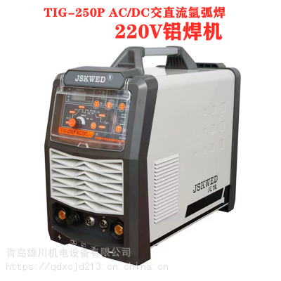 TIG-250P AC/DC彻ֱ벻220VЯʽ