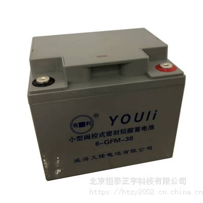 有利阀控式密封铅酸蓄电池GFM-500 2V500AH 威海文隆电池EPS/UPS电源配套