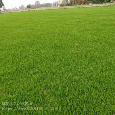 �첥��ƺ�۸� �ɶ��첥��ƺ���� �ɶ���ƺ��ֲ���� �첥��ƺͼƬ������