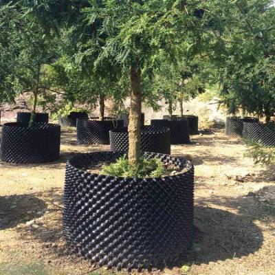 绿化工程快速育苗控根器 黑色控根围板 用控根容器育苗木可四季移栽