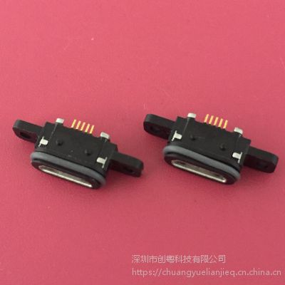 MICRO Bͷˮĸ λ˷ˮ 5P-ˮ ˫˿ IP67ˮȼ
