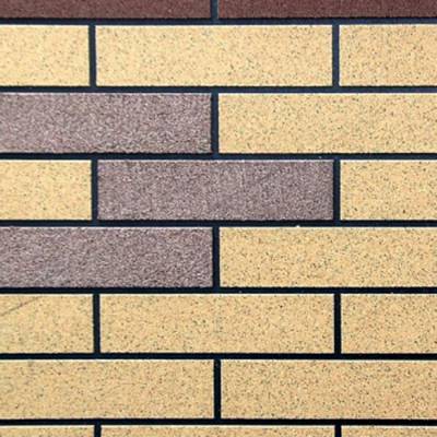 外墙真石漆工程装饰样板定制赛德丽供应