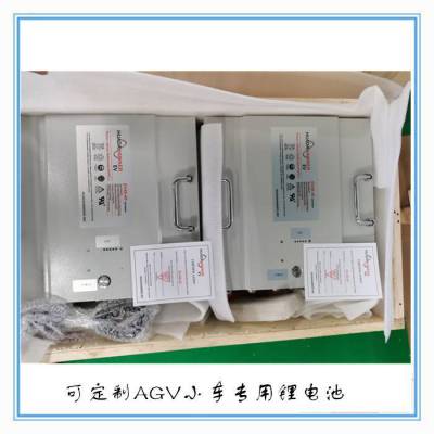 HAWKERǣEV48-30﮵48V-30AH AGVõ