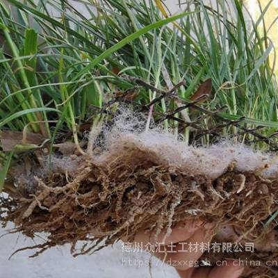 供应椰丝纤维毯规格 湖北边坡绿化 河道边坡植草生长 植物纤维生态毯施工