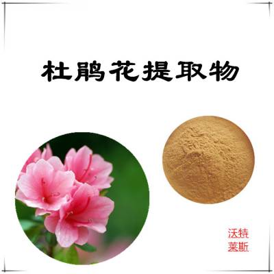 杜鹃花提取物10:1 浸膏粉 沃特莱斯生物 多规格可定制 可水溶