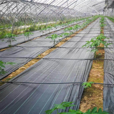 防草布遮草布黑色除草布铺设简单透水透气农用盖草布