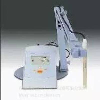 Ӧڱ׼PB-21 PH ¹˹PH豸