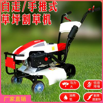 ԰֮ YUANYOU STAR ԰̻ ƺ ַ  ʽ ͸ݻ