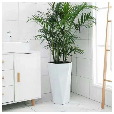 苏州别墅绿植租赁 值得信赖 苏州御美森园林景观设计供应