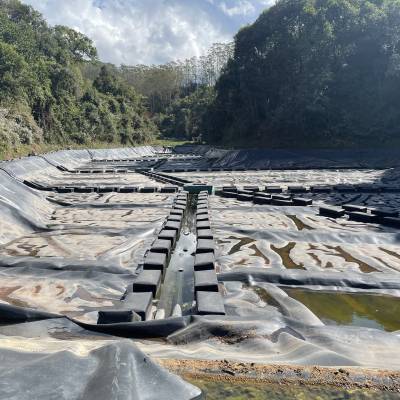 云南昆明生活垃圾处理厂污水池液面柔性浮动盖系统