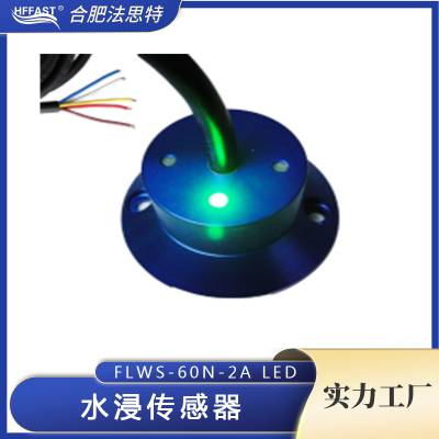 ˮ FLWS-60S-2A 12/24V ̽ͷʽ©ˮ