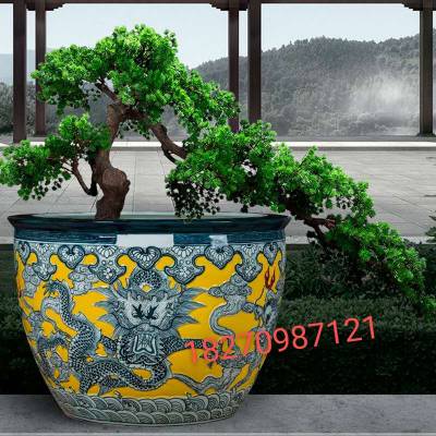 特大荷花缸 • 金魚缸 特大荷花缸 • 金魚缸 大型荷花缸的價格推薦- 2025年7月