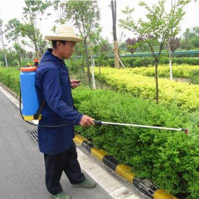 怡轩园林广东绿化养护服务，工厂绿化养护