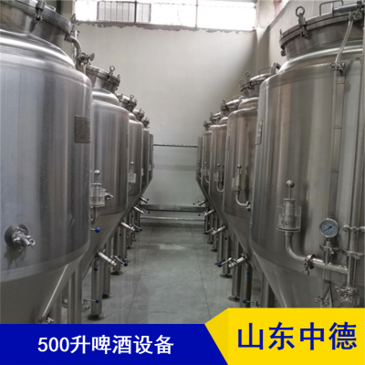 一体式啤酒屋设备500升精酿啤酒厂25年经验定制