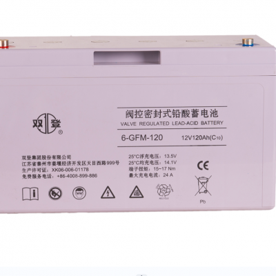 ˫Ǧ6-GFM-120 12V120AH (C10)