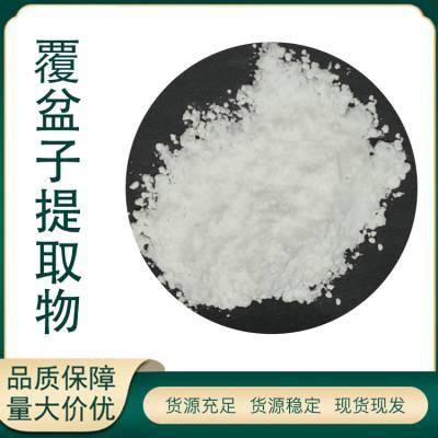 覆盆子提取物 覆盆子酮98% 果粉果蔬粉 多糖 浸膏