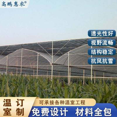 周至县姜黄塑料大棚种植什么好